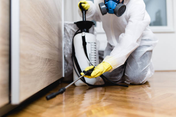 Best Cockroach Control Services  in Biola, CA