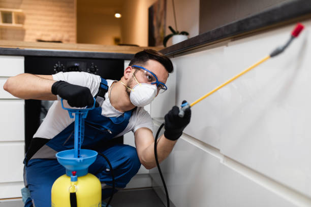 Trusted Biola, CA Pest Control Experts