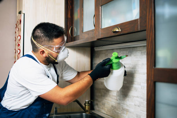 Best Ant Control Services  in Biola, CA