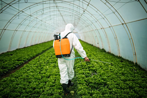 Best Local Pest Control Services  in Biola, CA