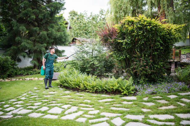 Best Affordable Pest Control Services  in Biola, CA