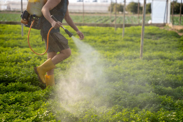 Best Commercial Pest Control Services  in Biola, CA