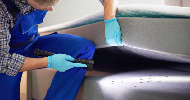 Best Best Pest Control Companies  in Biola, CA