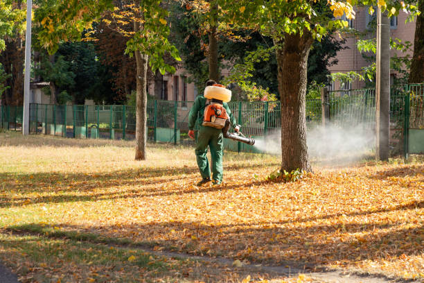 Best Pest Control Treatment  in Biola, CA